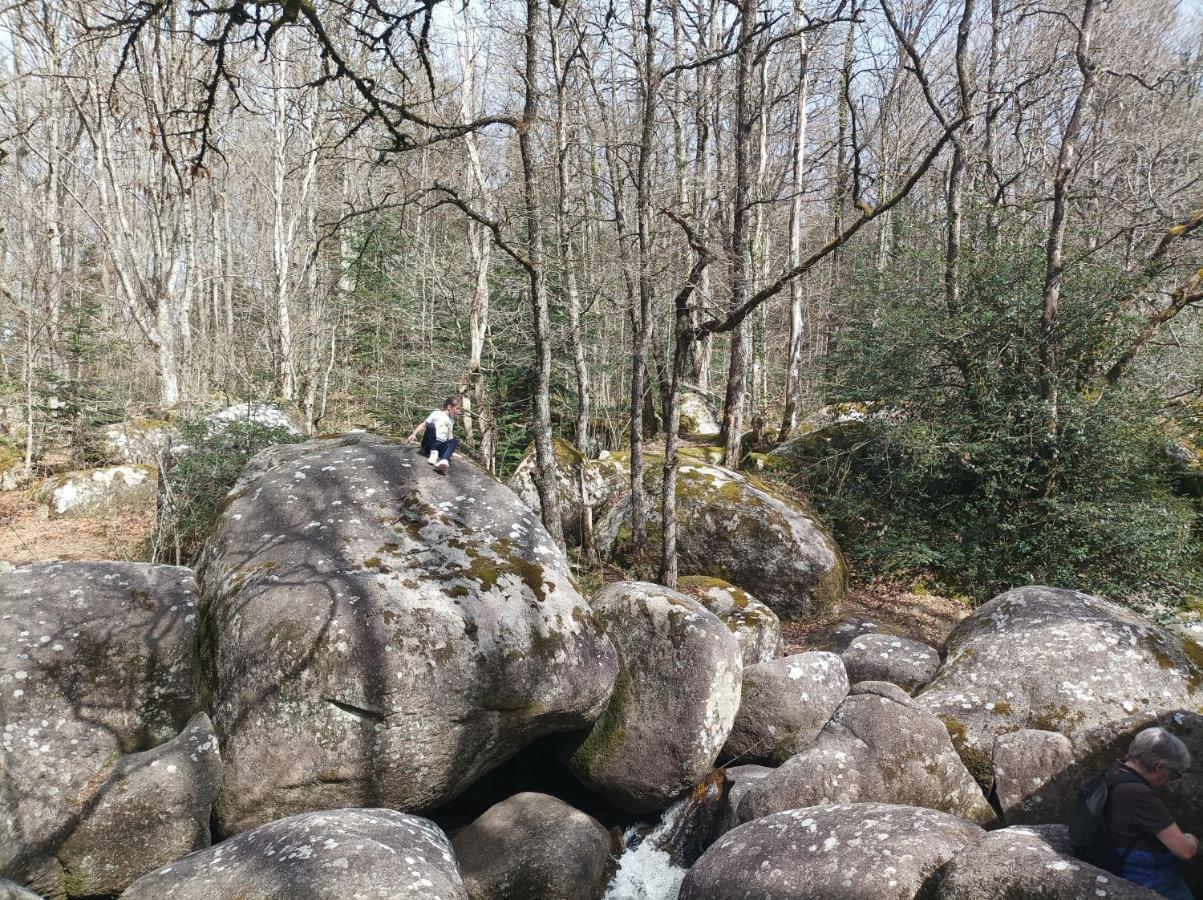 Gite Le Coumis 1370 Saint-Salvy-de-la-Balme Dış mekan fotoğraf